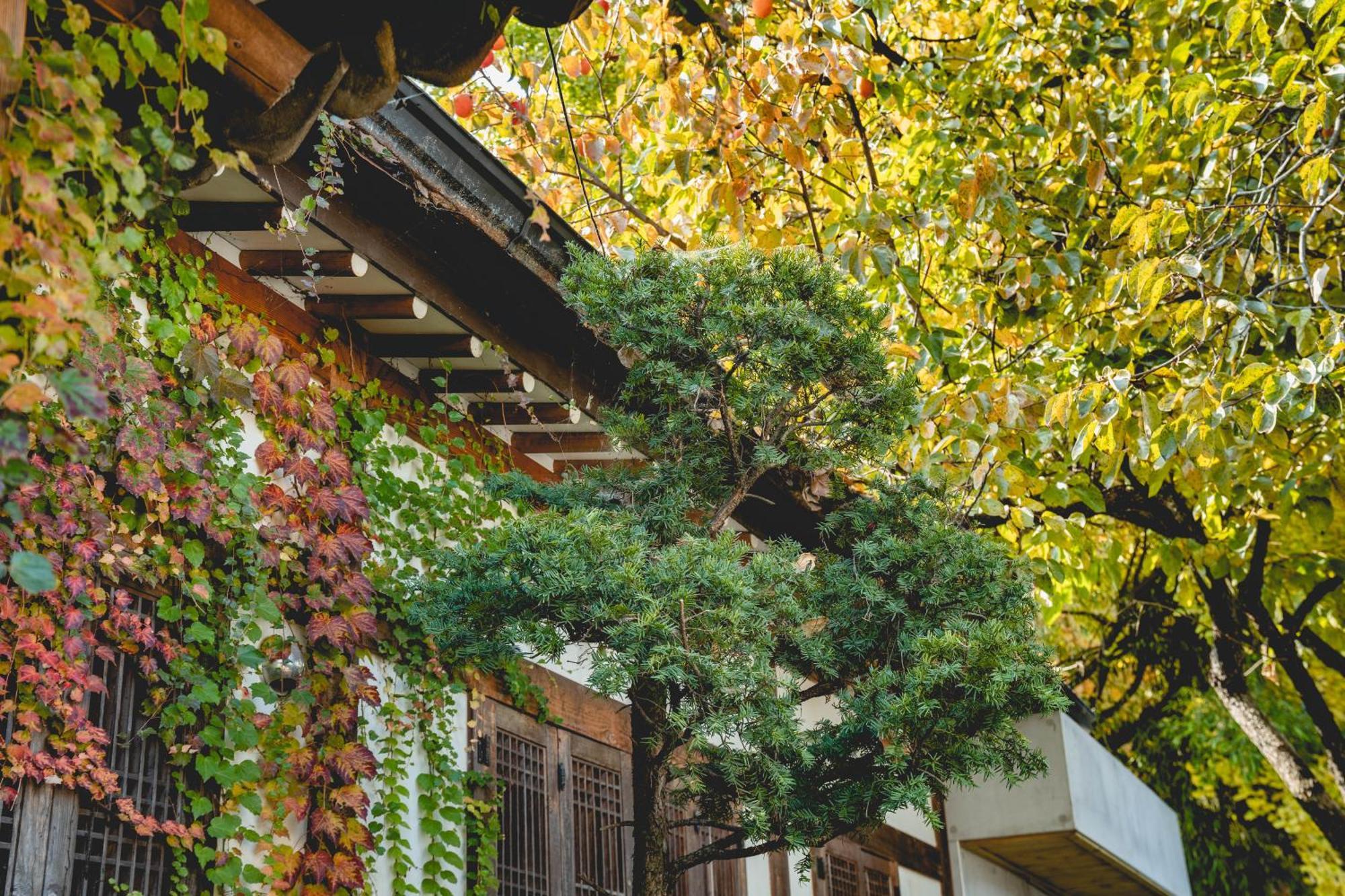 Hotelarrive Jeonju Sihwayeonpung 外观 照片